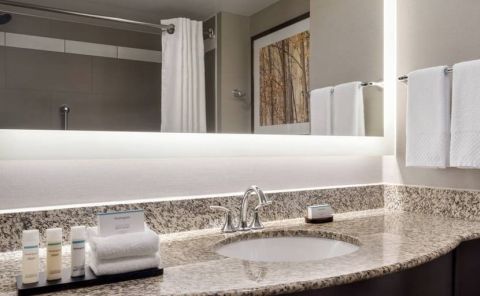 Hotel Embassy Suites Alpharetta image