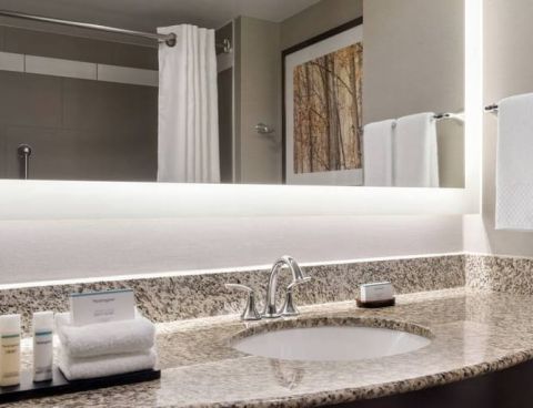 Hotel Embassy Suites Alpharetta image