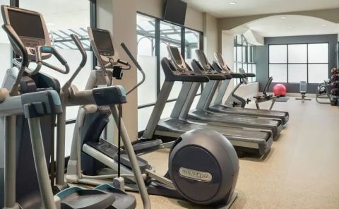 Hotel Embassy Suites Alpharetta image