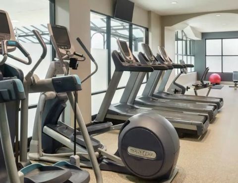 Hotel Embassy Suites Alpharetta image