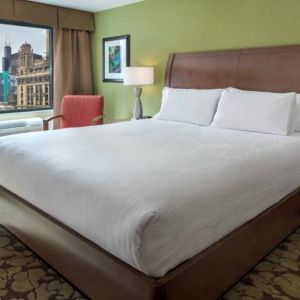 Double bed guest room within the Hilton Garden Inn Chicago Downtown Riverwalk, with city views through the large window.