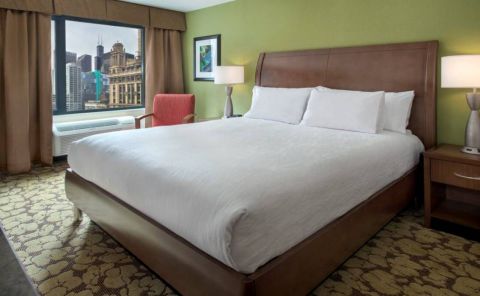Hotel Hilton Garden Inn Chicago Downtown Riverwalk image