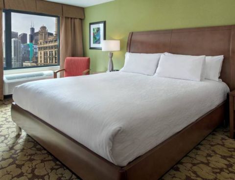 Hotel Hilton Garden Inn Chicago Downtown Riverwalk image