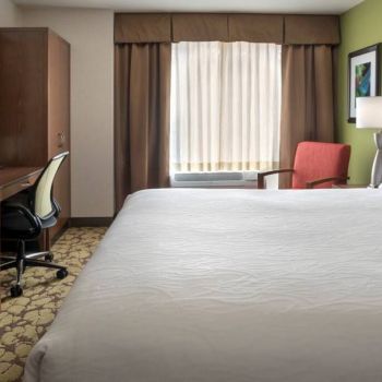 Hotel Hilton Garden Inn Chicago Downtown Riverwalk image