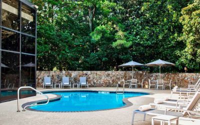 The hotel’s outdoor swimming pool has surrounding loungers and nearby trees.