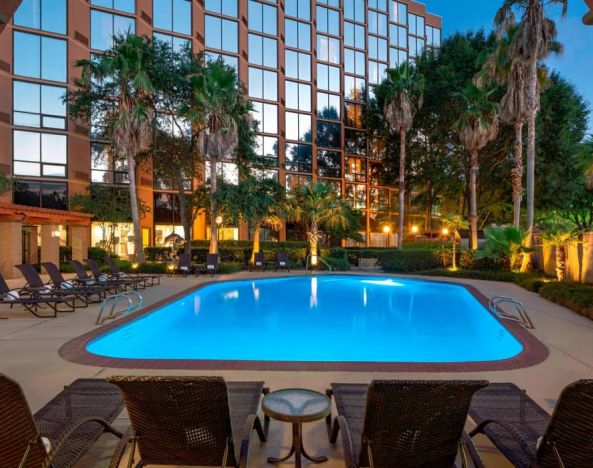 Sheraton Houston Brookhollow Hotel’s outdoor pool, with loungers and plant life nearby.