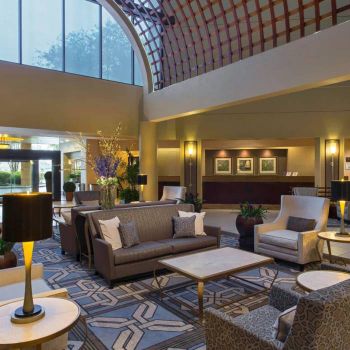 Hotel Sheraton Houston Brookhollow Hotel image