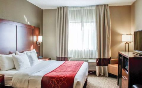 Hotel Comfort Suites Lombard - Addison image