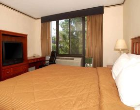 Guest room in Red Lion Inn & Suites Long Island City, with double bed, and a workspace desk and chair.