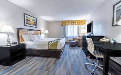 Double bed guest room in the Quality Inn Halifax Airport, furnished with large TV and a workspace desk and chair.