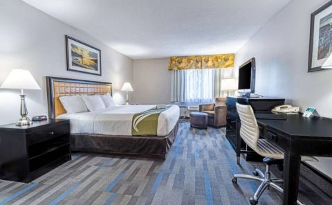 Hotel Quality Inn Halifax Airport image