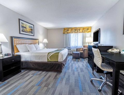 Hotel Quality Inn Halifax Airport image