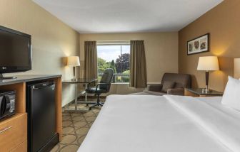 Double bed guest room in Comfort Inn Saskatoon, with window and TV.