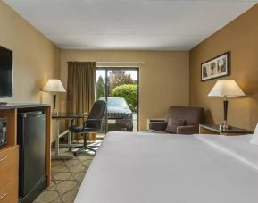 Guest room in Comfort Inn Edmonton West, with double bed and large window.