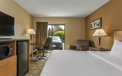 Guest room in Comfort Inn Edmonton West, with double bed and large window.