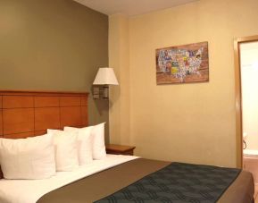 Guest room with ensuite bathroom and double bed at the Econo Lodge Times Square.