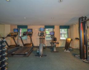 Fitness center with rack of weights, treadmills, and other exercise machinery.