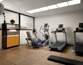 The hotel’s fitness center, equipped with a range of exercise machines.