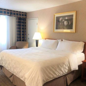 Hotel Holiday Inn Laval Montreal image