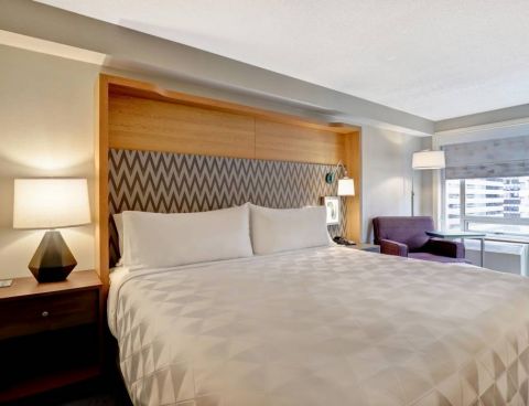 Hotel Holiday Inn Ottawa Downtown Parliament Hill image