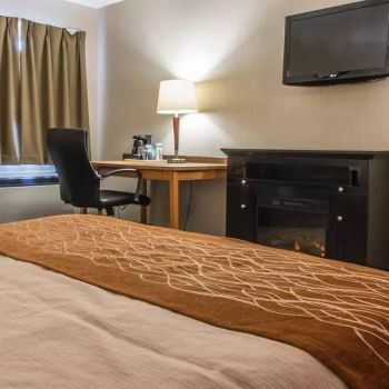 Hotel Comfort Inn Brandon image