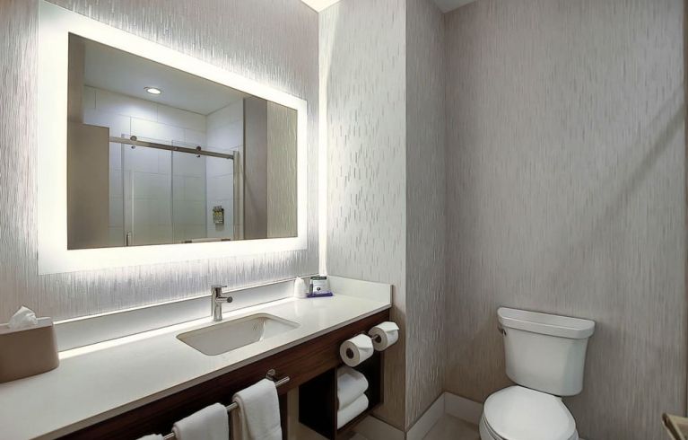Holiday Inn Express & Suites Airport-Calgary, Calgary
