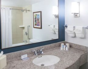 Private guest bathroom with shower at Hilton Garden Inn Dallas/Allen.