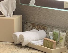 Private guest bathroom at DoubleTree San Antonio Airport.