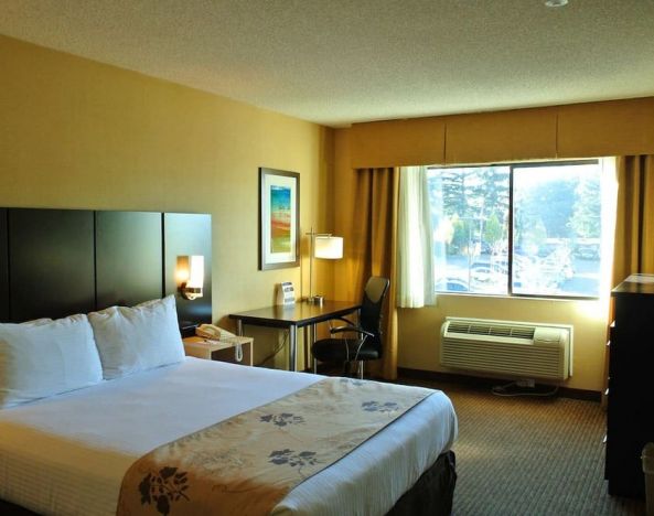 Best Western Seattle Airport Hotel
