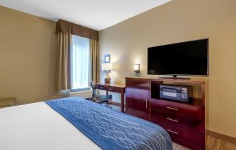 Delux king bed with TV and business desk at Comfort Inn & Suites Sea-Tac Airport.
