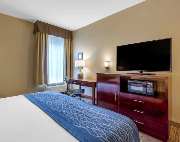 Delux king bed with TV and business desk at Comfort Inn & Suites Sea-Tac Airport.