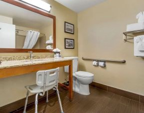 Private guest bathroom with shower at Comfort Inn & Suites Sea-Tac Airport.