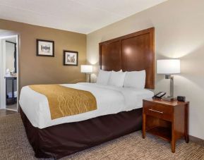 Comfort Inn Atlanta Airport, College Park
