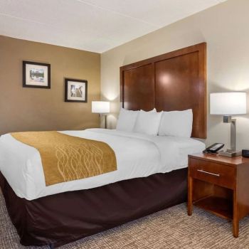 Hotel Comfort Inn Atlanta Airport image