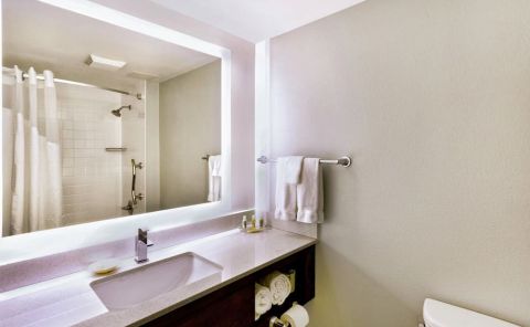 Hotel Holiday Inn Miami West-Airport Area image