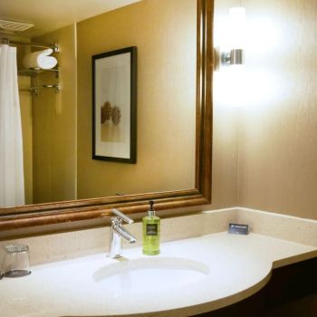 Hotel Pacific Gateway Hotel Vancouver Airport image