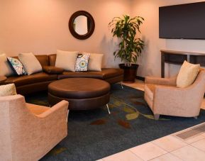The hotel’s lounge in the lobby has comfortable seating, potted plants, and a widescreen TV.