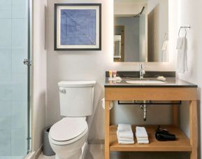 Private guest bathroom with shower at Hyatt Place Chicago Medical/university District.