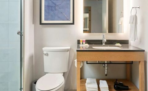 Hotel Hyatt Place Chicago Medical/University District image