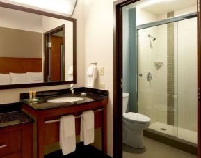 Private guest bathroom with shower at Hyatt Place Chicago/Lombard/Oak BRK.