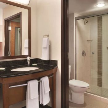 Hotel Hyatt Place Chicago/Hoffman Estates image