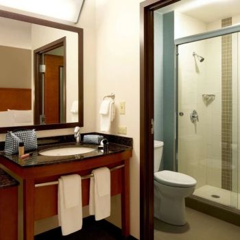 Hotel Hyatt Place Houston – North image