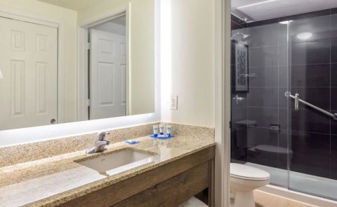 Hotel Hyatt House Houston / Galleria image