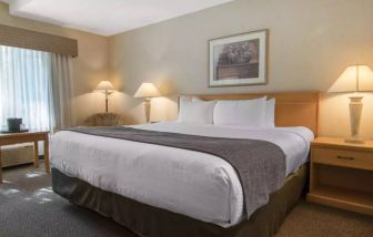 Guest room in Quality Inn Hotel Medicine Hat, including large double bed and window.