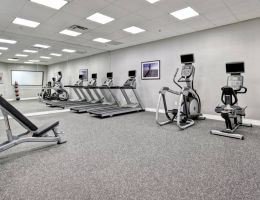 Holiday Inn Hotel & Suites Windsor Ambassador Bridge, Windsor (ON)