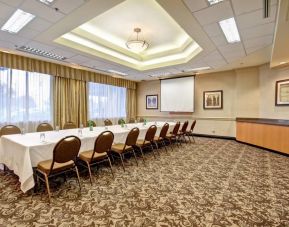 Holiday Inn Hotel & Suites Windsor Ambassador Bridge, Windsor (ON)