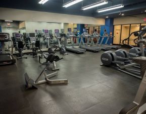 The hotel fitness center, featuring dozens of exercise machines.