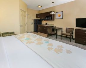 King bedroom with TV and kitchette at Hawthorn Suites By Wyndham Longview.