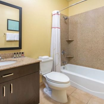 Hotel Hawthorn Suites By Wyndham Longview image