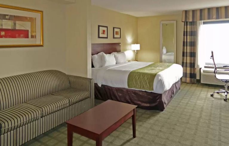 Comfort Inn Southwest At Westpark, Houston